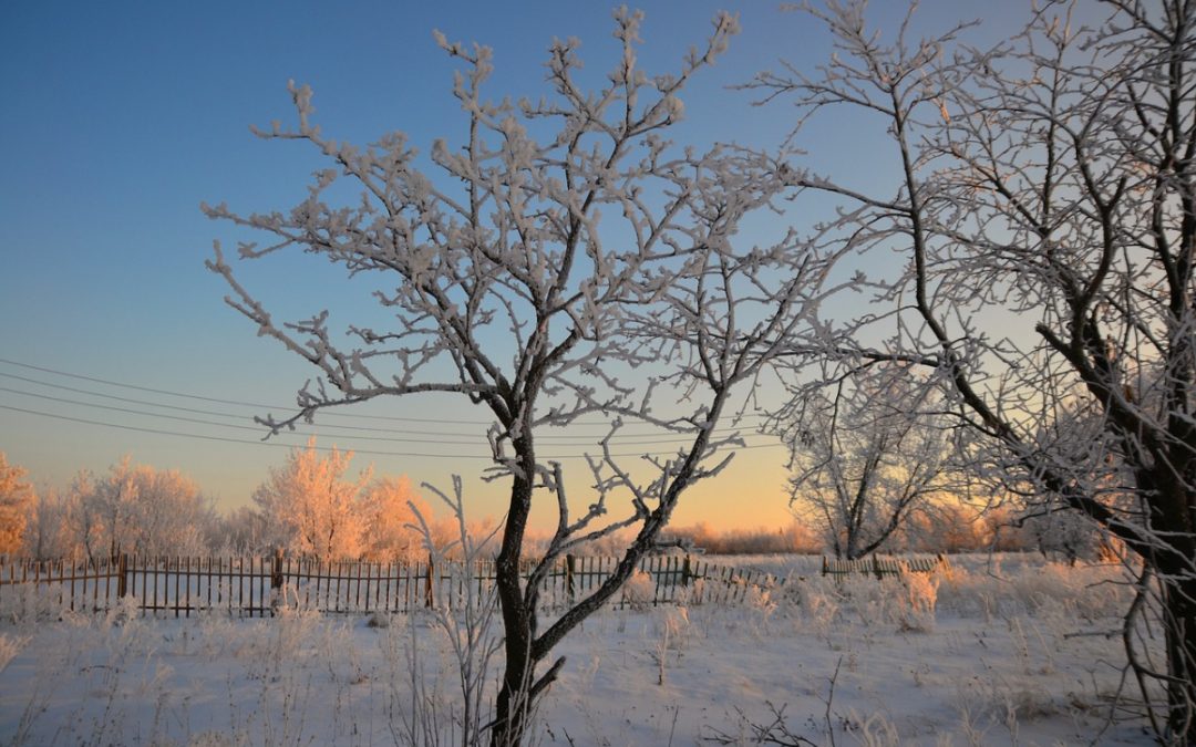 25 ноября приметы и запреты в день Ивана Милостивого: гоните негативные мысли, молитесь за детей