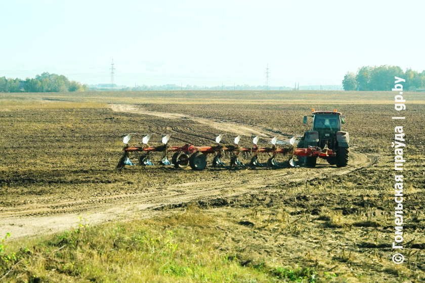 Посевная без травм. Профсоюзы проведут мониторинг по охране труда, окажут консультативную и практическую помощь
