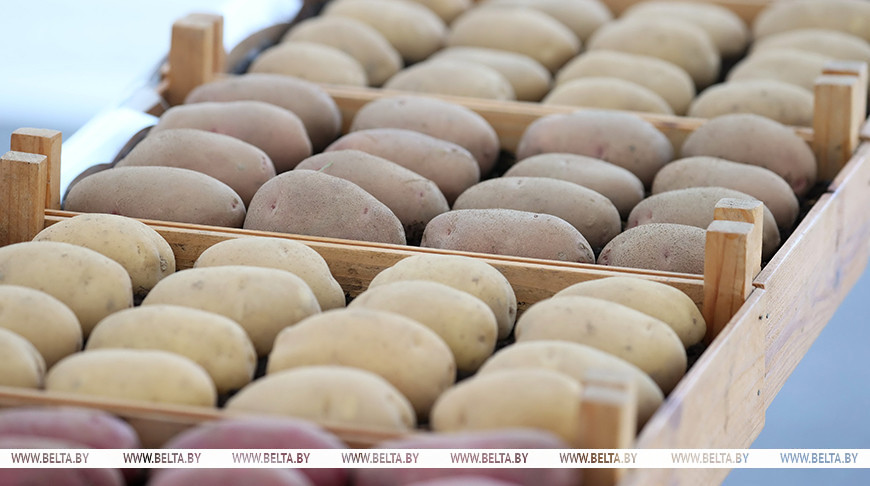 МАРТ: запасы в стабфондах Беларуси превышают план