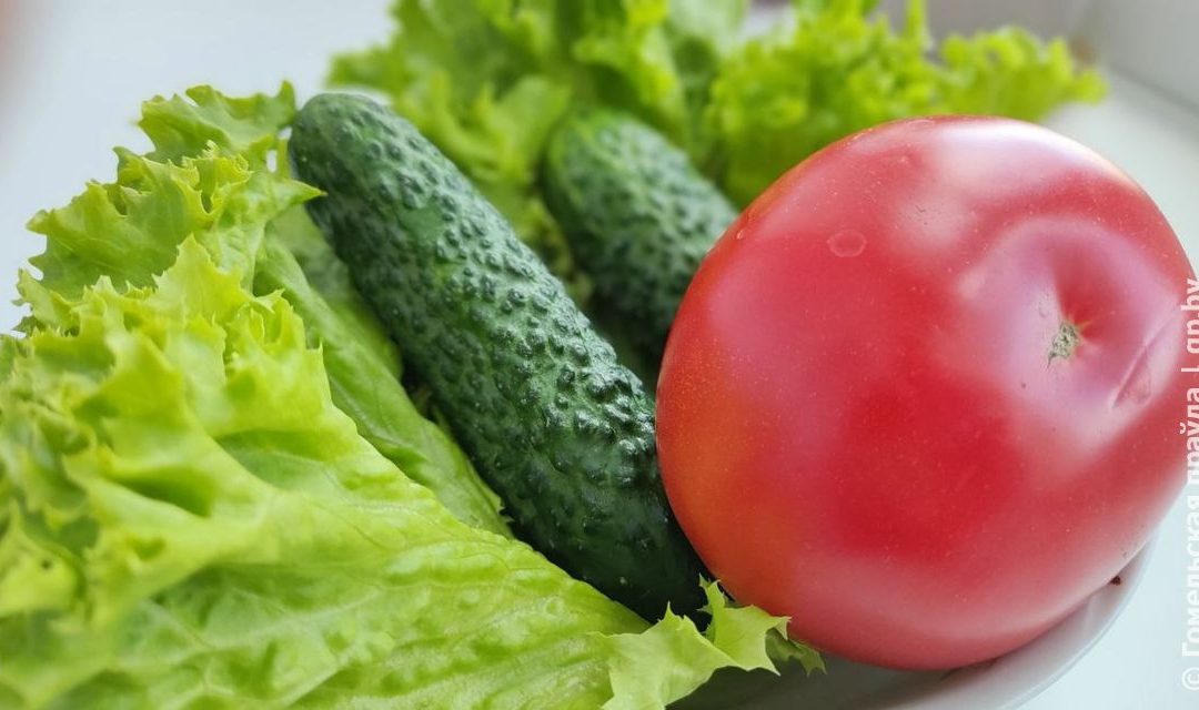 Теперь каждый четверг месяца: в Гомельском областном объединении профсоюзов будет работать общественная приёмная по вопросам цен, качества и наличия товаров