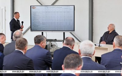 Лукашенко поручил обсудить целесообразность строительства крупных свинокомплексов на 100 тыс. голов