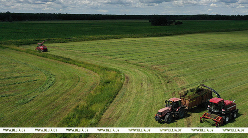В Беларуси травы первого укоса скошены более чем на 23% площадей