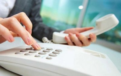 Получите поддержку в трудоустройстве: горячие линии для молодежи Гомельского района
