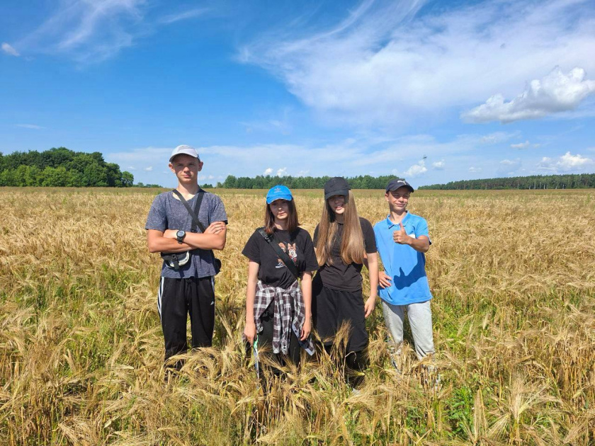 Труд – крут: молодежь Гомельщины продолжает работать в студенческих отрядах