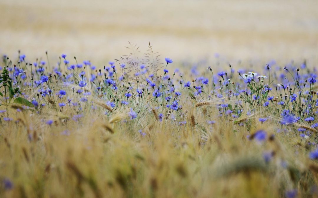 10 июля приметы и запреты: не смотритесь долго в зеркало и не поднимайте деньги на улице