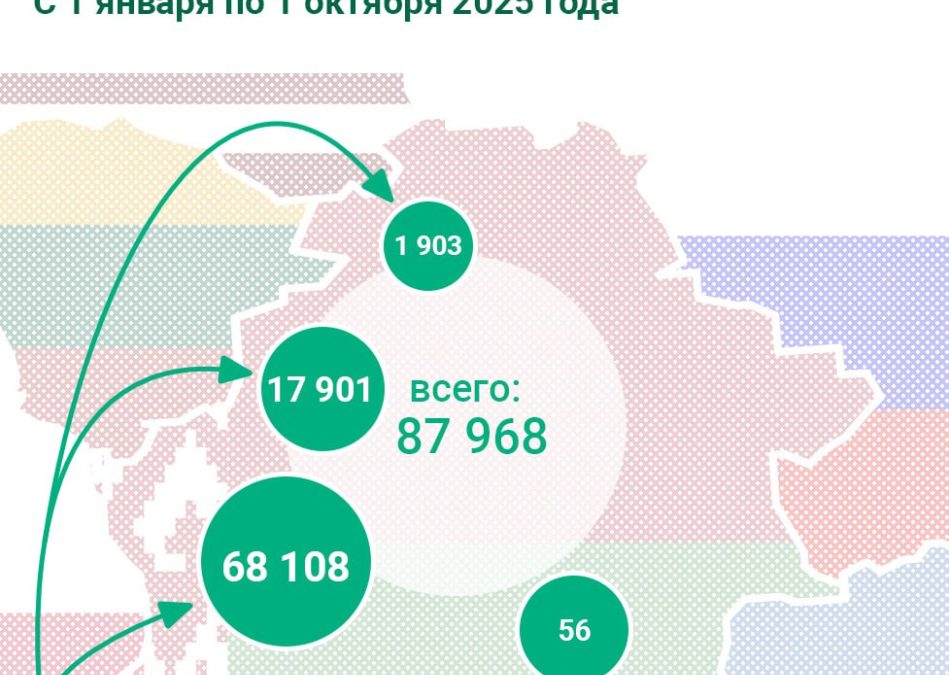 Около 9 тысяч граждан Украины прибыло в сентябре в Беларусь
