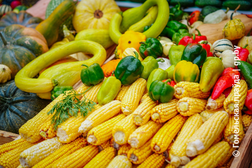 11 декабря в Гомельском областном объединении профсоюзов будет работать общественная приёмная по вопросам цен, качества и наличия товаров