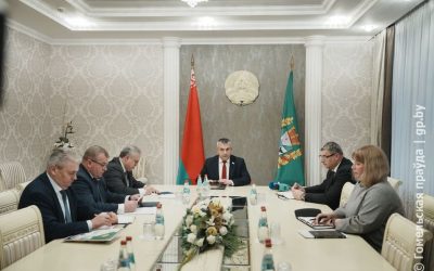 Должен стать лучше прежнего: детальный план восстановления пострадавшего дома по улице Косарева в Гомеле обсудили в облисполкоме