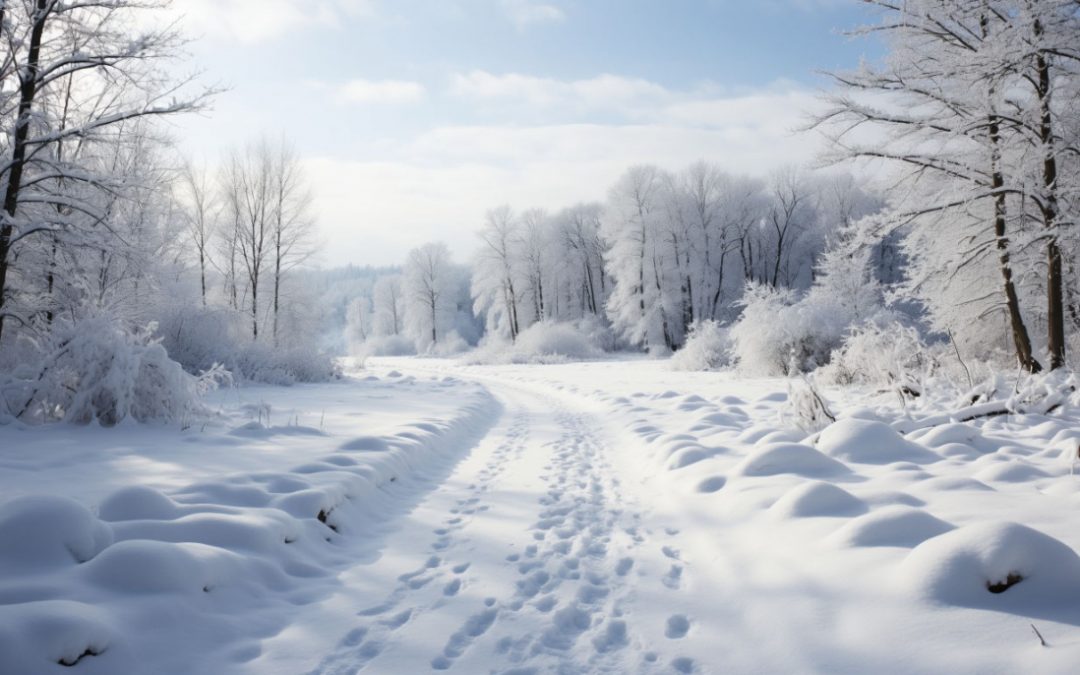 10 февраля приметы и запреты: почему не стоит поднимать деньги с земли и что следует сделать с ножом