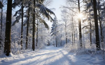 Народные приметы на 2 февраля: что можно и нельзя делать в Ефимов день