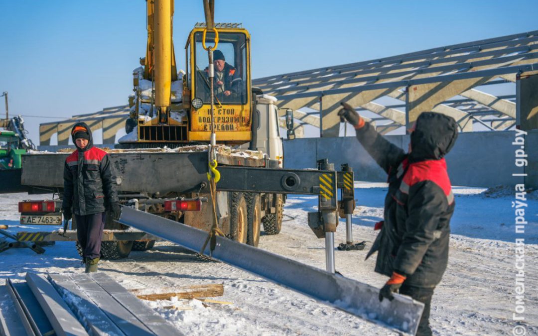 На контроле губернатора: первый в Беларуси свинокомплекс-стотысячник строится в Гомельском районе