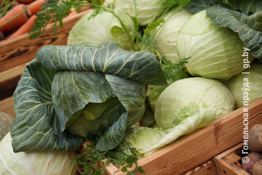 Недовольны ценами или ассортиментом? Обращайтесь 5 февраля в общественную приемную Гомельского областного объединения профсоюзов